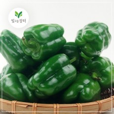 청피망(1kg 내외/ 국내산/특급)