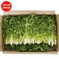 치커리(박스/2kg내외/국내산)