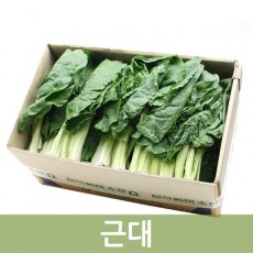 근대(박스/4kg내외/국내산)