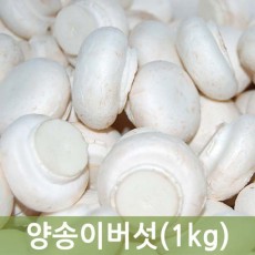 양송이버섯(1kg내외/국내산)